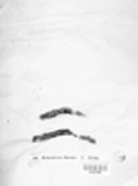 Typhula variabilis image